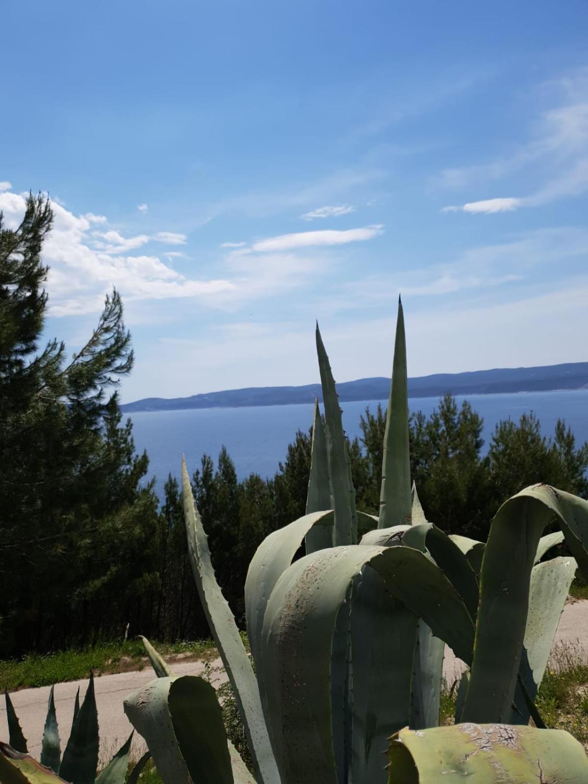 Blazevic * Omis